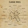 No.09 · Ambreau Lumen · Yellow Tea & Bourbon Rose - Image 4