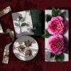 No.10 · Olomere Revere · Oolong Tea & Damask Rose - Image 3